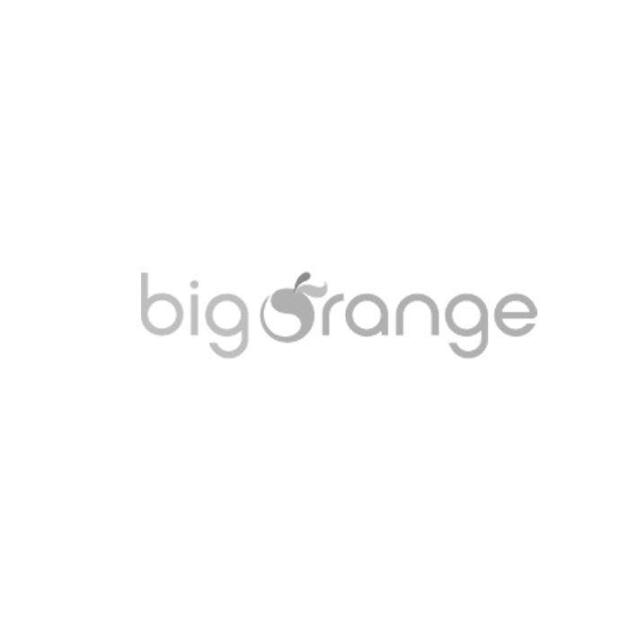 Big_Orange Big Orange logo
