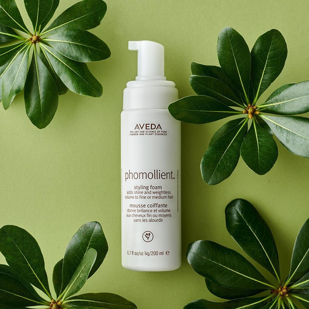 NO FOMO, JUST PHOMOLLIENT icon