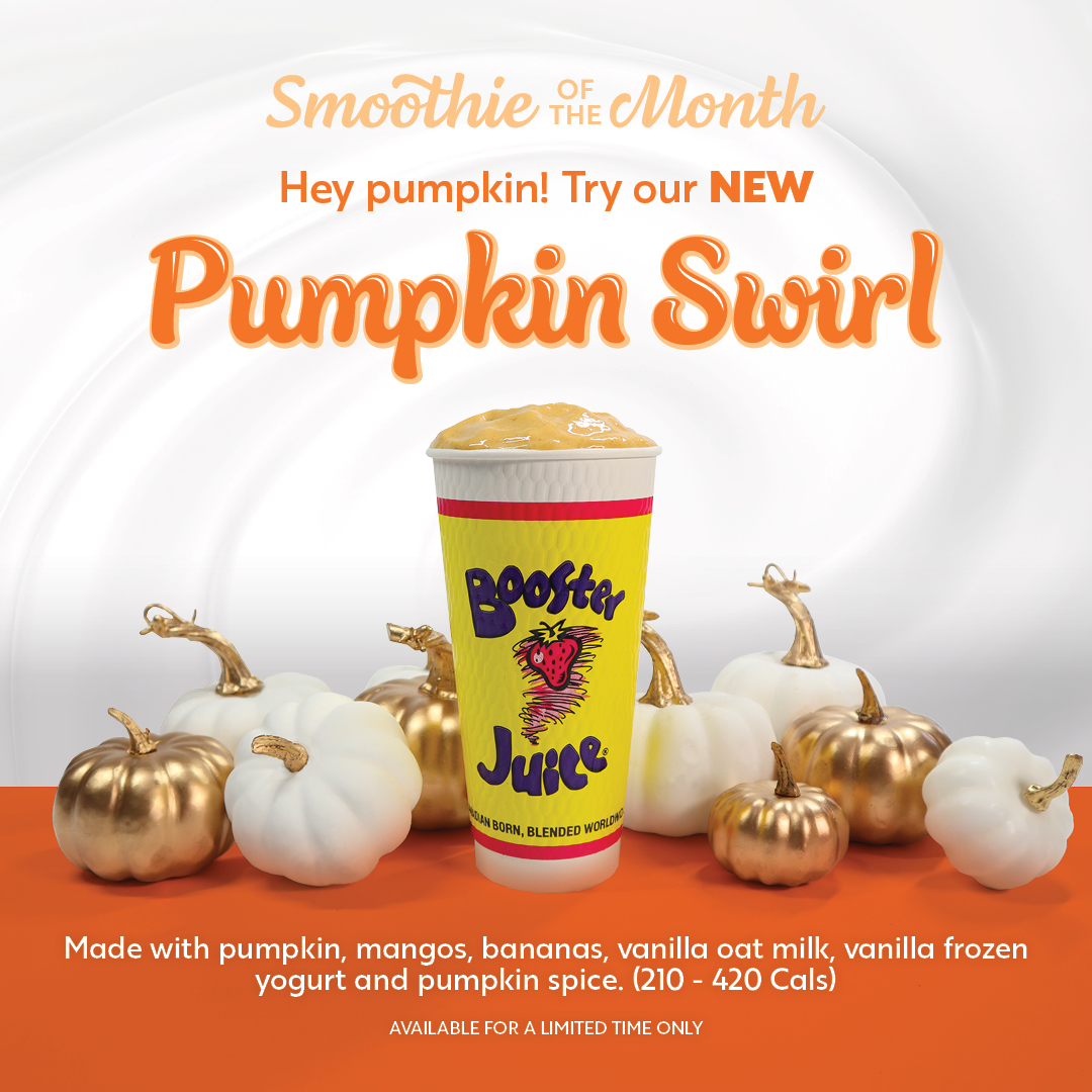 NEW PUMPKIN SWIRL icon